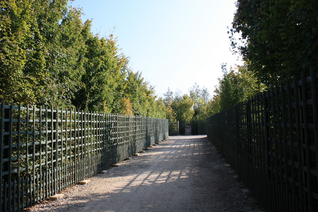 unknownの写真の写真