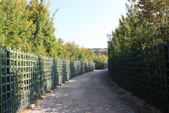 unknownの写真の写真