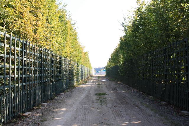 unknownの写真の写真