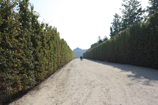 unknownの写真の写真