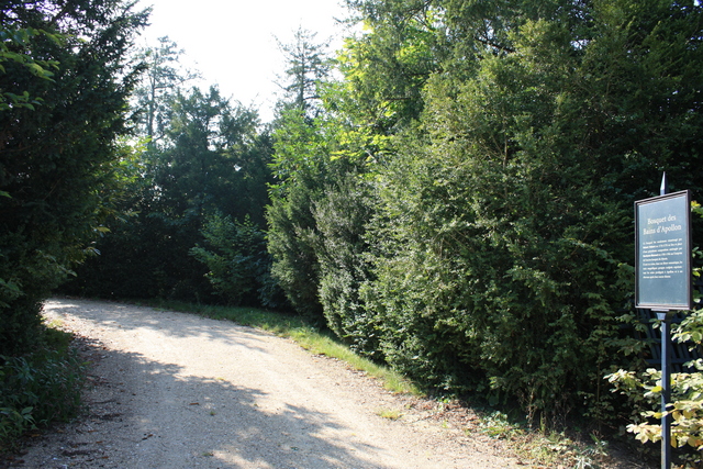 unknownの写真の写真