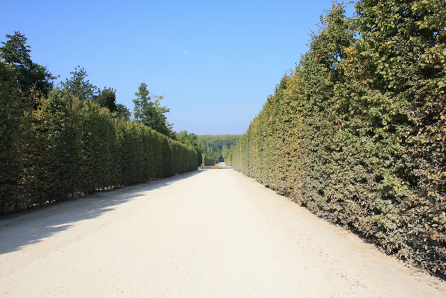 unknownの写真の写真