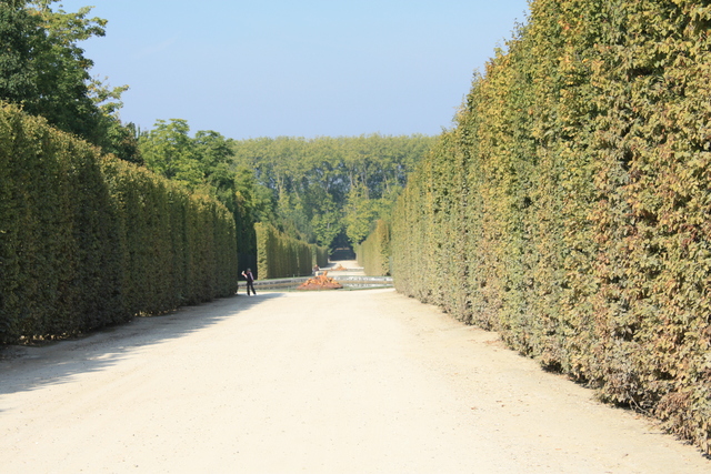 unknownの写真の写真