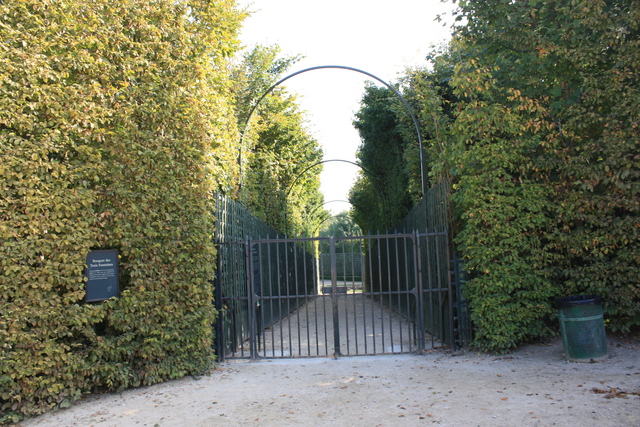 unknownの写真の写真