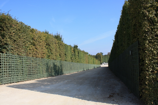 unknownの写真の写真