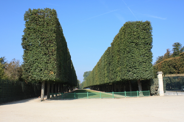 unknownの写真の写真