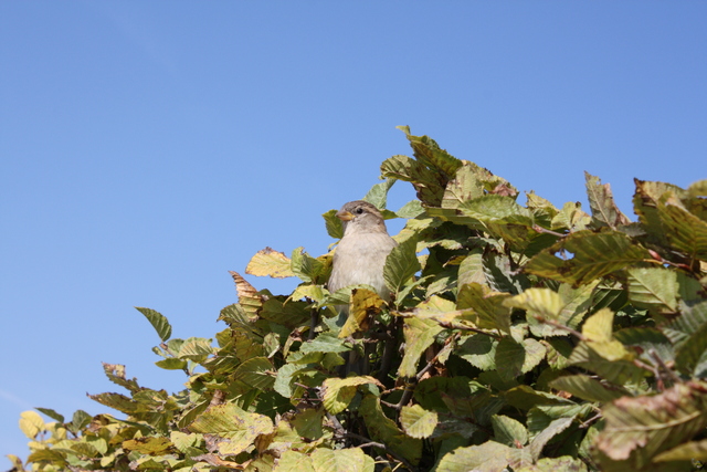 unknownの写真の写真