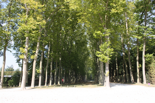 unknownの写真の写真