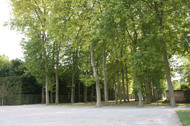 unknownの写真の写真