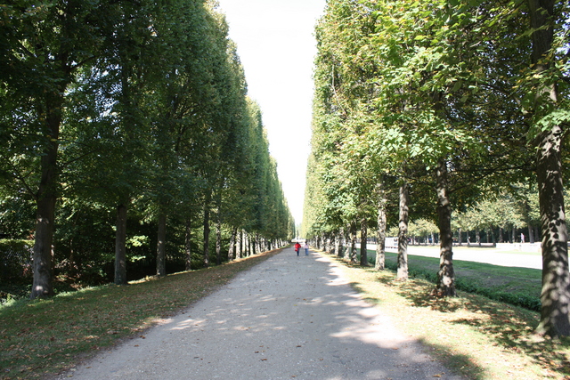 unknownの写真の写真