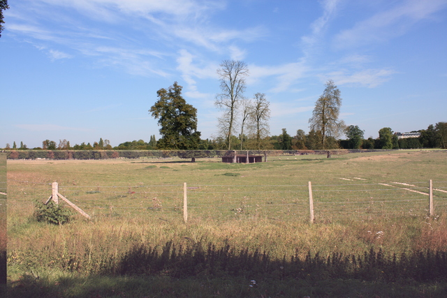 unknownの写真の写真