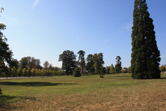 unknownの写真の写真