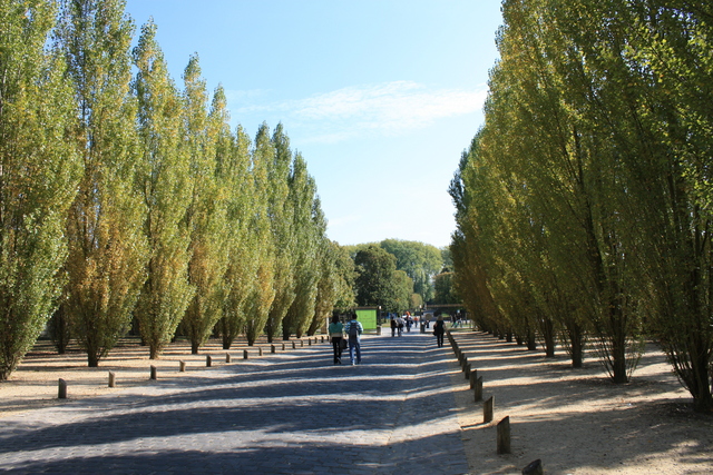 unknownの写真の写真