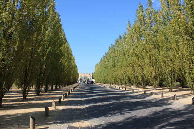 unknownの写真の写真