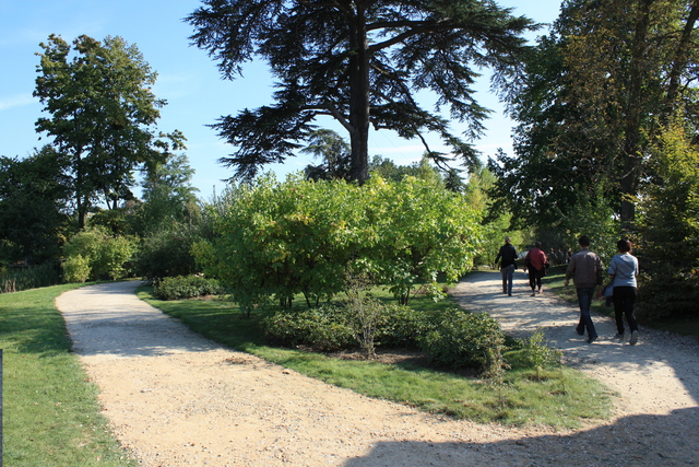 unknownの写真の写真