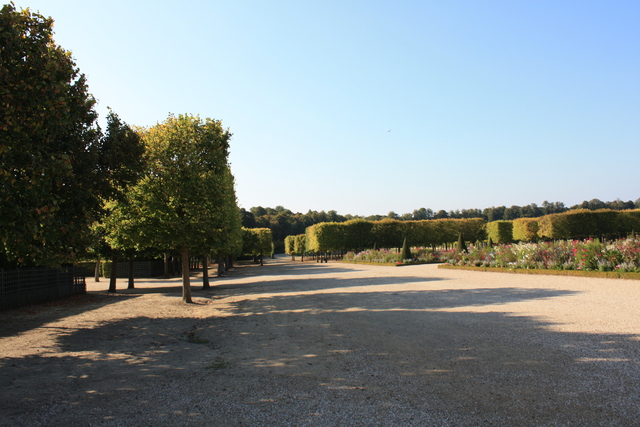 unknownの写真の写真