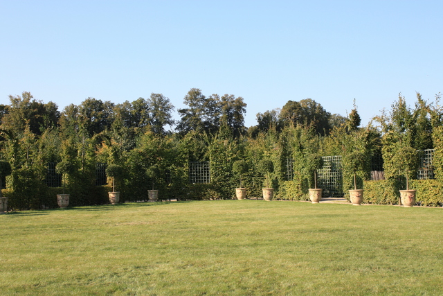 unknownの写真の写真