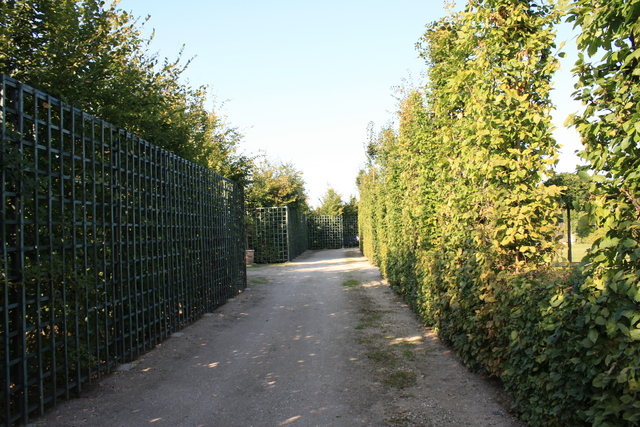 unknownの写真の写真