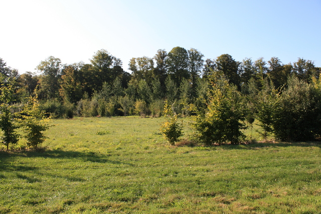 unknownの写真の写真