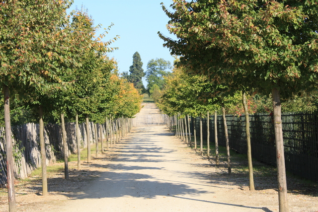 unknownの写真の写真