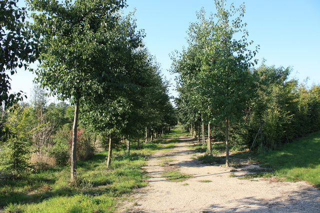 unknownの写真の写真