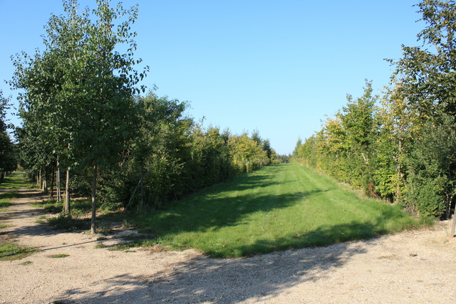 unknownの写真の写真