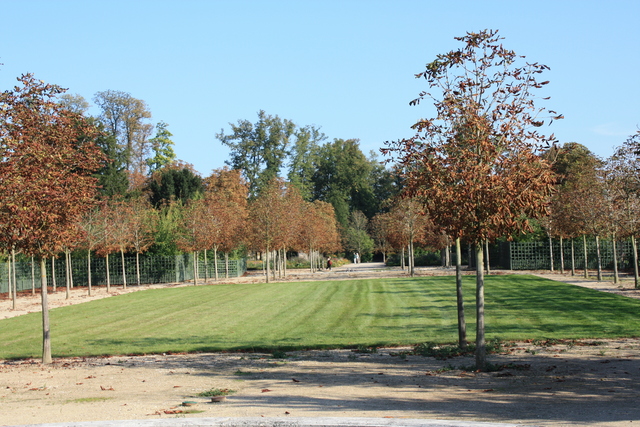 unknownの写真の写真