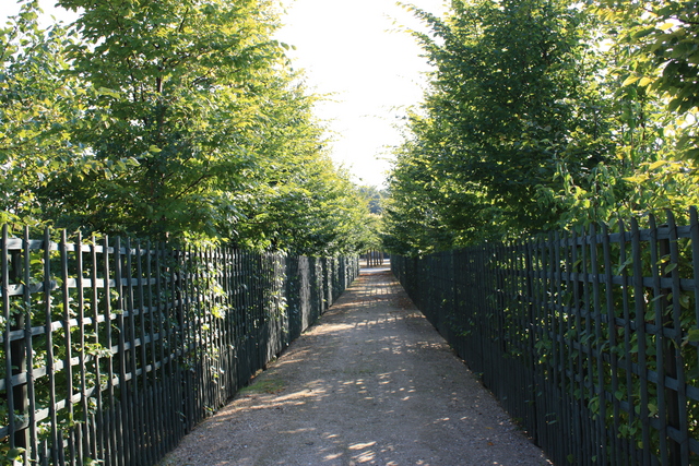 unknownの写真の写真