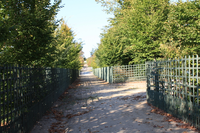 unknownの写真の写真