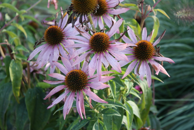 unknownの写真の写真