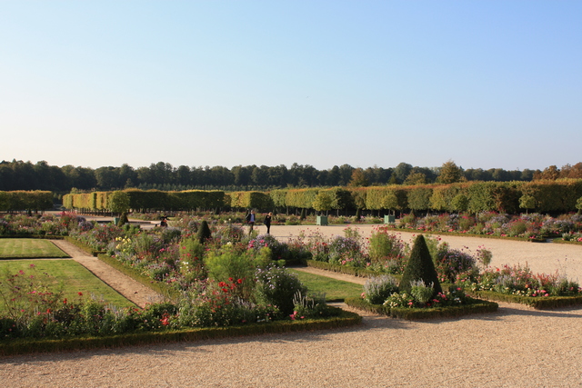 unknownの写真の写真