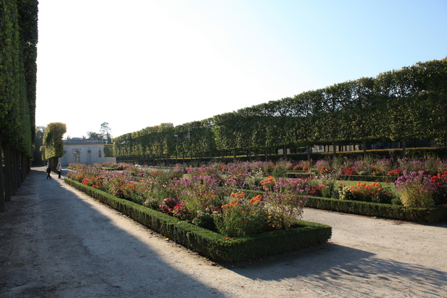 unknownの写真の写真