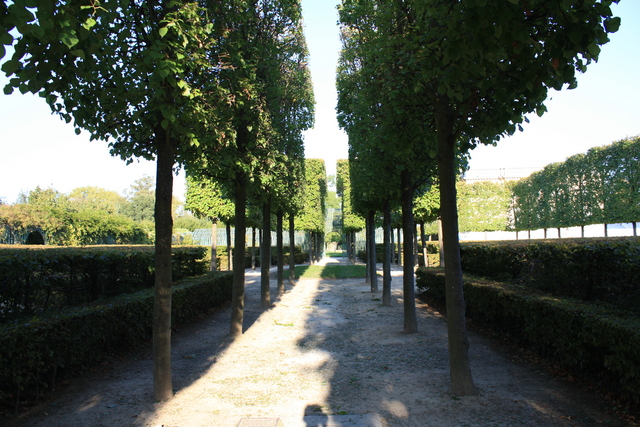 unknownの写真の写真