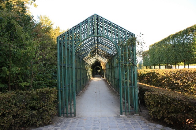 unknownの写真の写真