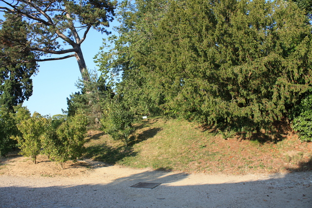 unknownの写真の写真