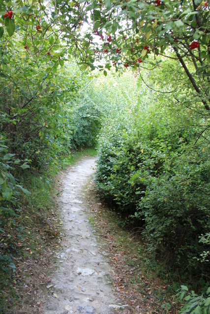 unknownの写真の写真