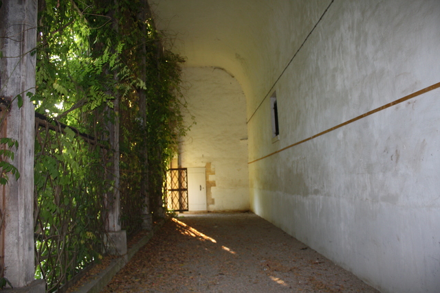 unknownの写真の写真