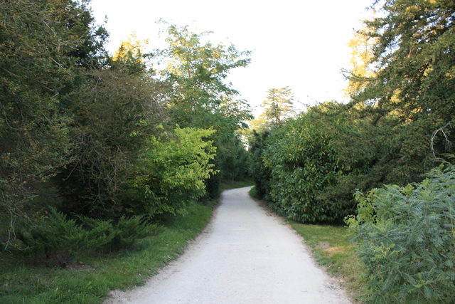 unknownの写真の写真