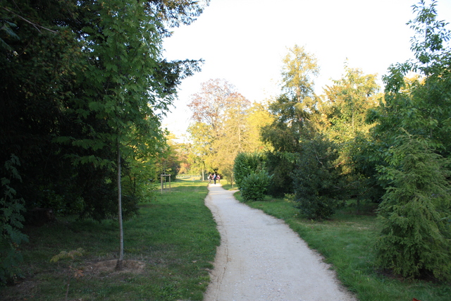 unknownの写真の写真