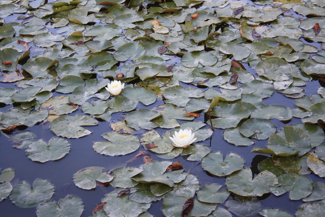 unknownの写真の写真