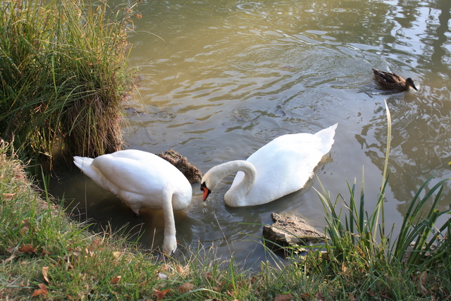 unknownの写真の写真