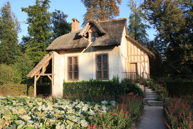 unknownの写真の写真