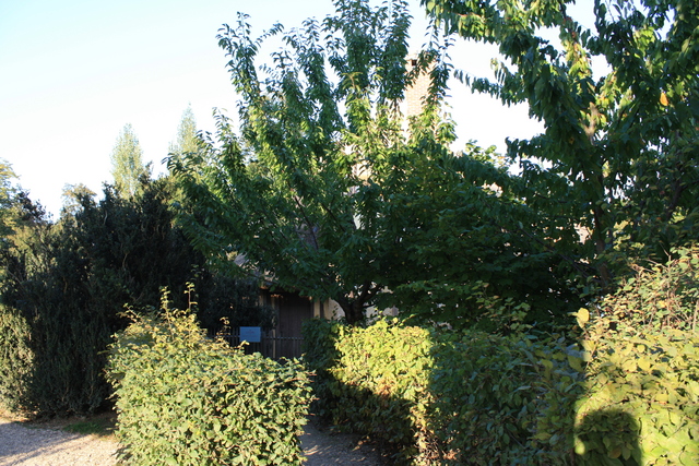 unknownの写真の写真