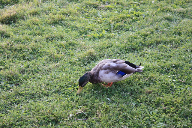 unknownの写真の写真