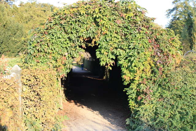 unknownの写真の写真