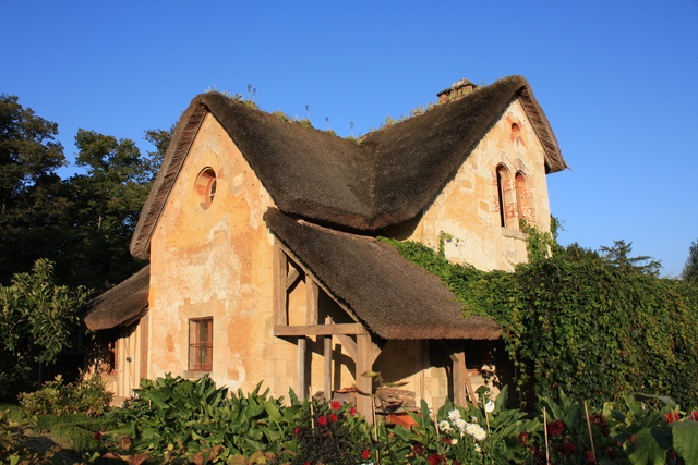 unknownの写真の写真