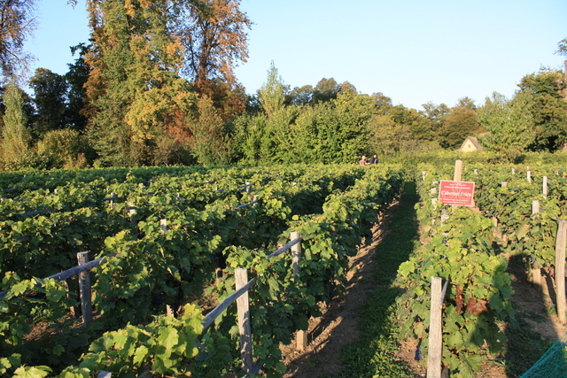 unknownの写真の写真