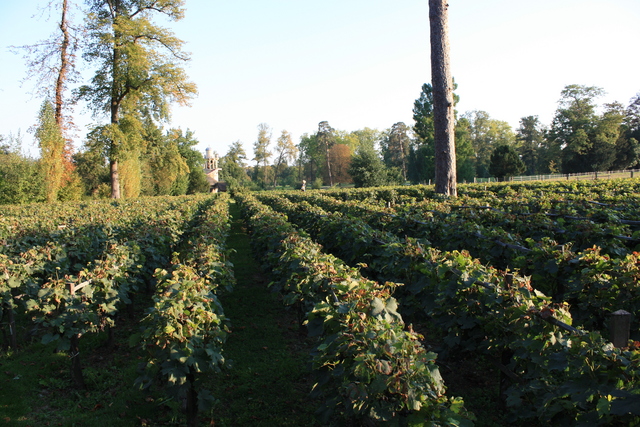 unknownの写真の写真