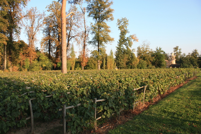 unknownの写真の写真