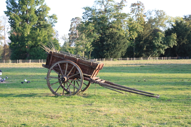 unknownの写真の写真